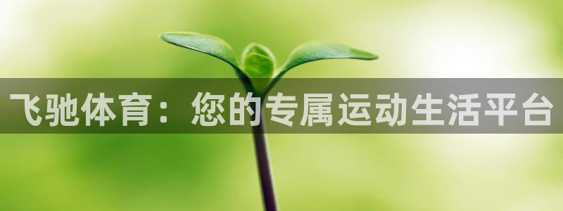 黑白体育app下载最新版：飞驰体育：您的专属运动生活平台