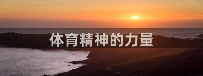 黑白体育足球直播：体育精神的力量
